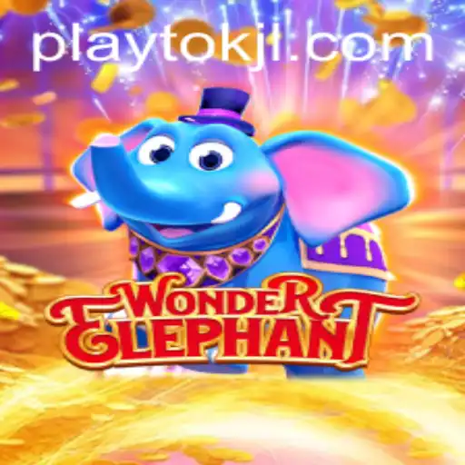 WonderElephant: A New Craze with Playtok